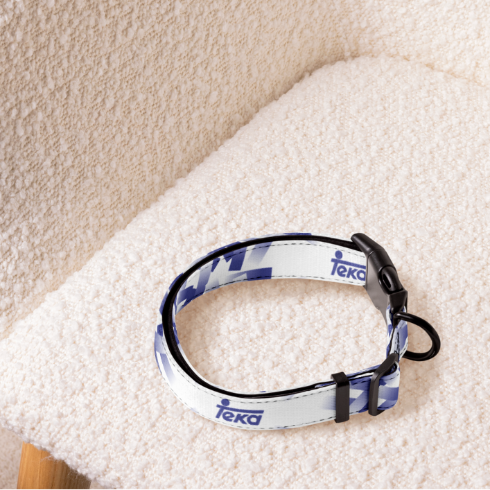 White and purple football dog collar sitting on a cream armchair