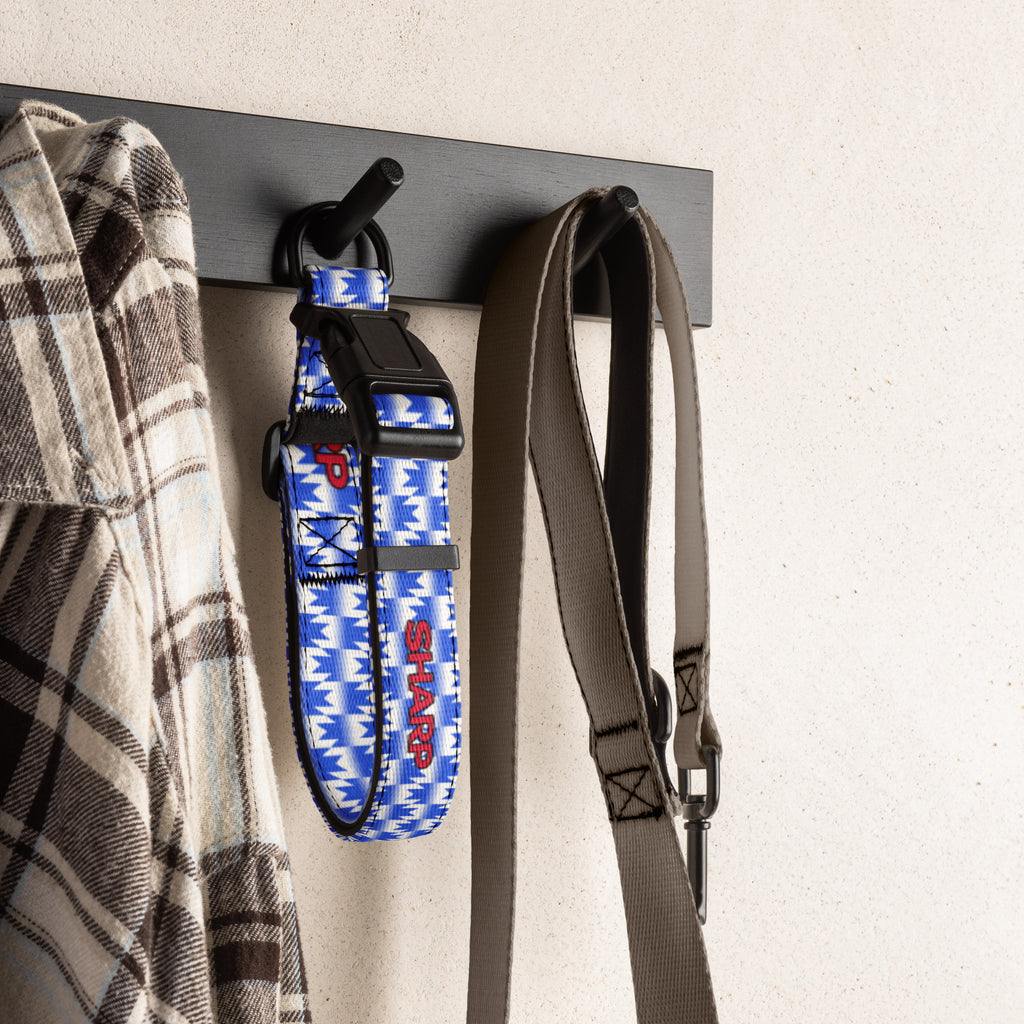 Blue football dog collar hanging on a wall hook with a shirt and leash