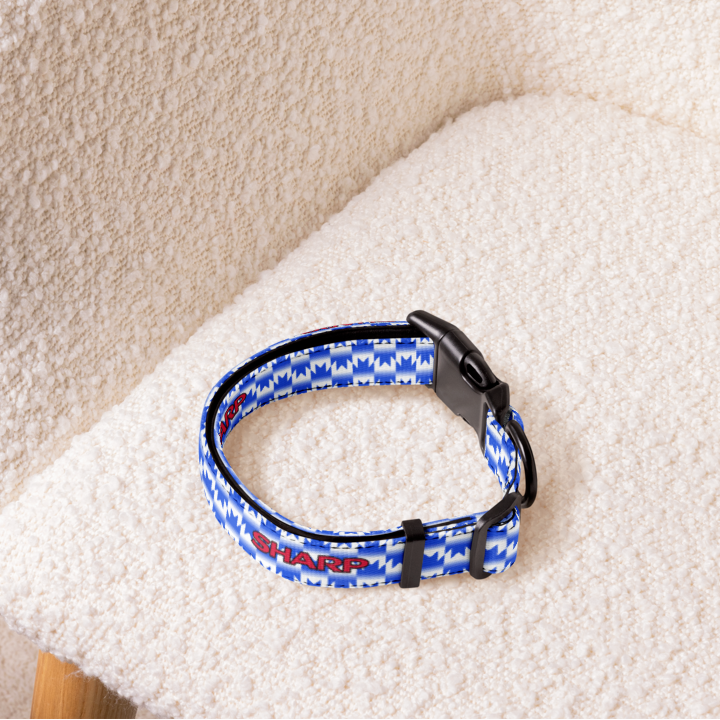 Blue football dog collar sitting on a cream armchair