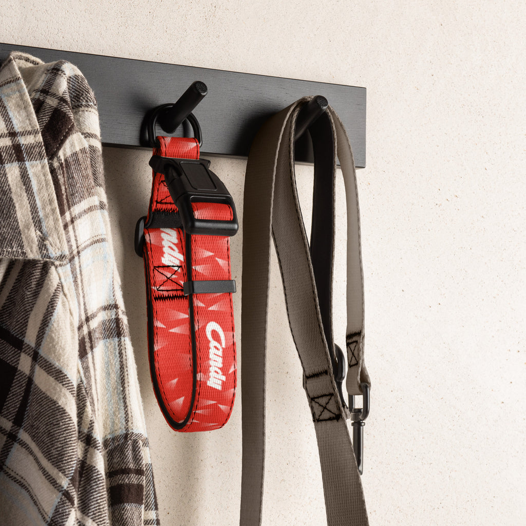 Red football dog collar hanging on a wall hook with a shirt and leash
