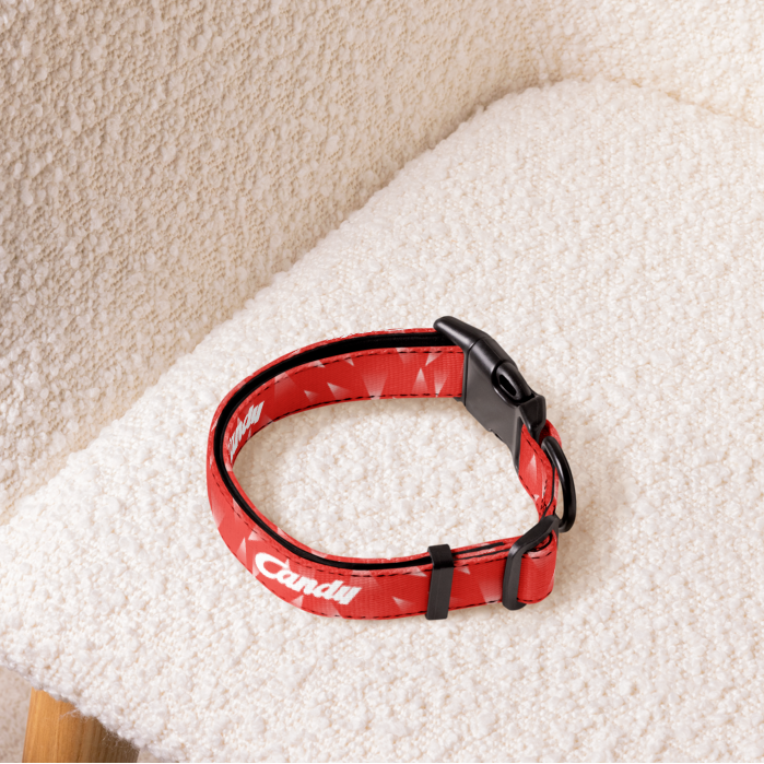 Red football dog collar sitting on a cream armchair