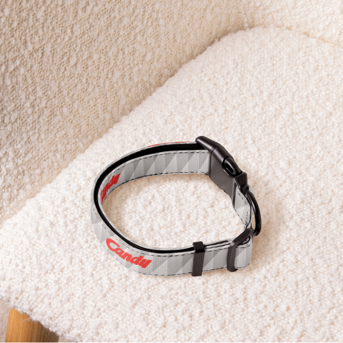 Grey football dog collar sitting on a cream armchair