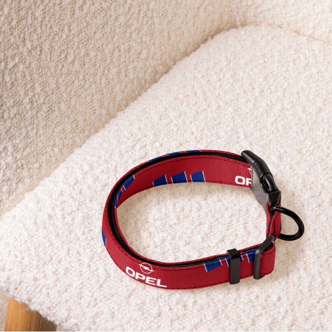 Red and blue football dog collar sitting on a cream armchair