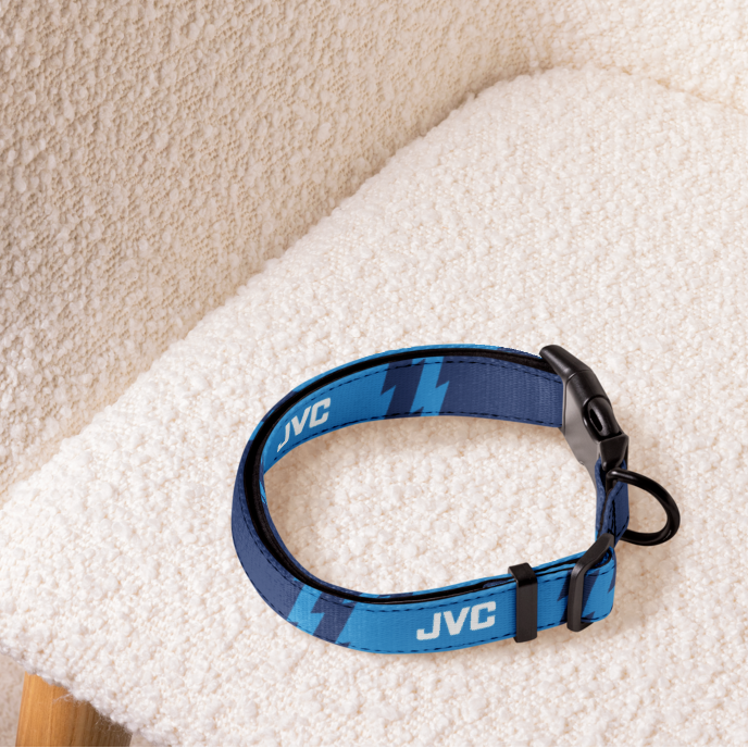 Blue football dog collar sitting on a cream armchair