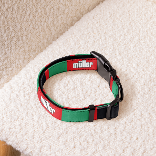 Black, red and green football dog collar sitting on a cream armchair
