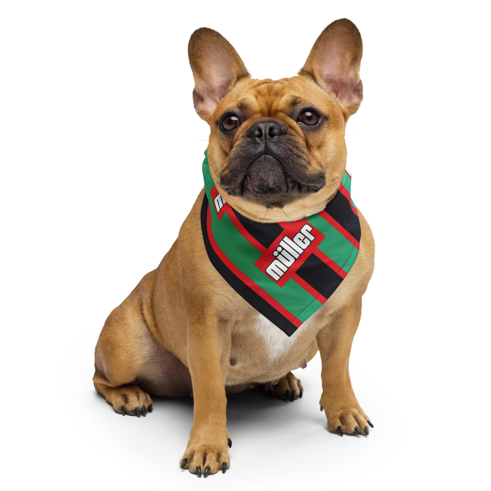 A fawn French Bulldog wearing a green, black, and red striped bandana with the word 'miller' in white text, photographed against a solid white background.