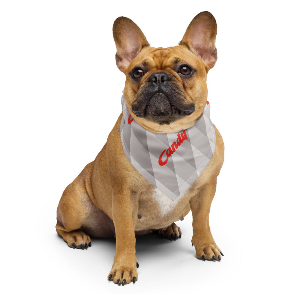A fawn French Bulldog wearing a gray and white geometric patterned bandana with red script text, photographed against a solid white background.