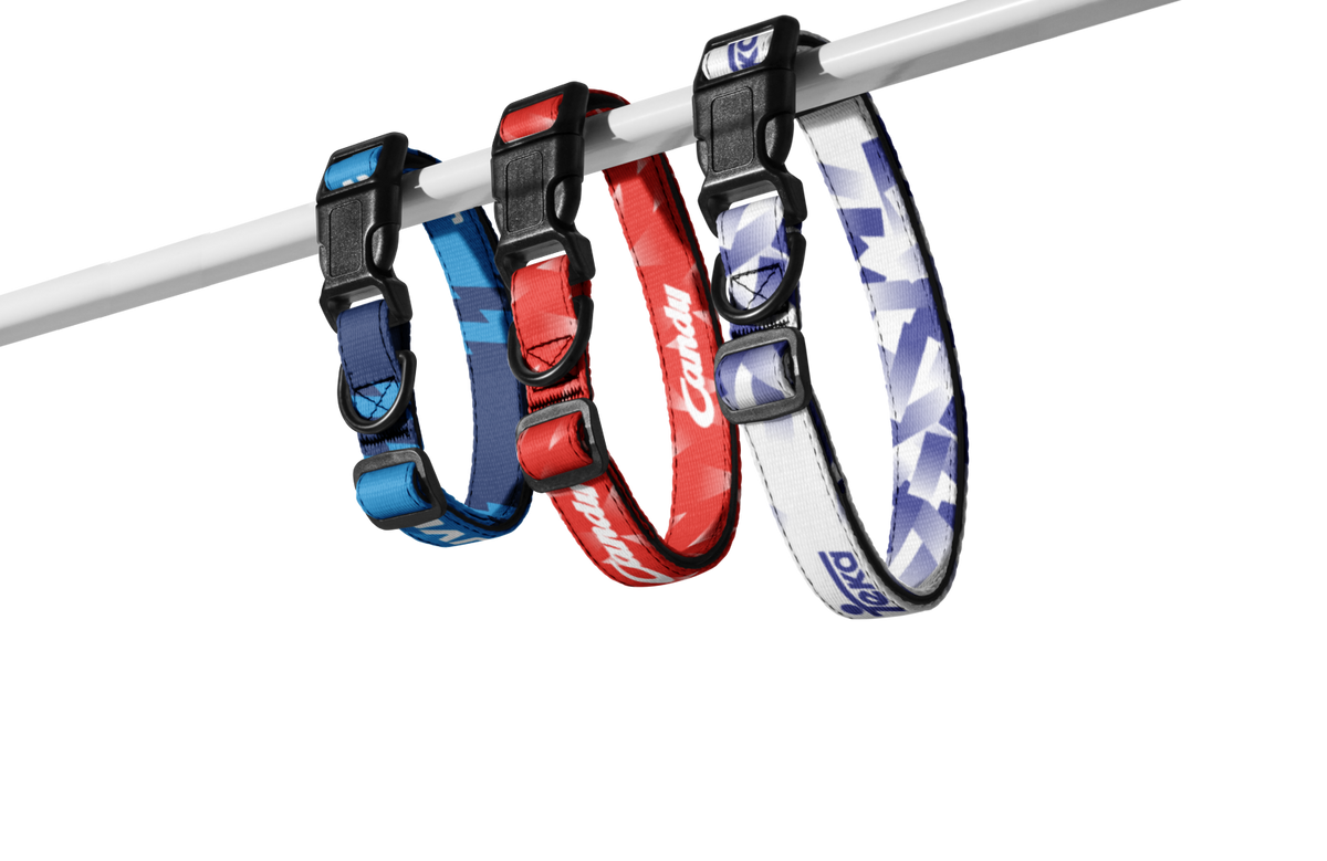 Three football dog collars in blue, red, and white hang from a white pole against a light gray studio background. The collars have black plastic buckles and visible printed branding.