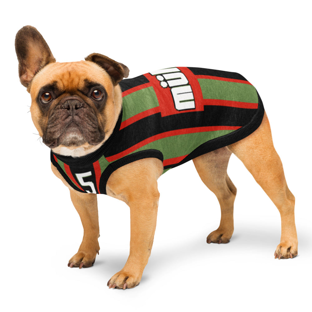 A fawn French bulldog wearing a green, black, and red striped rugby jersey with white accents, standing against a plain white background.