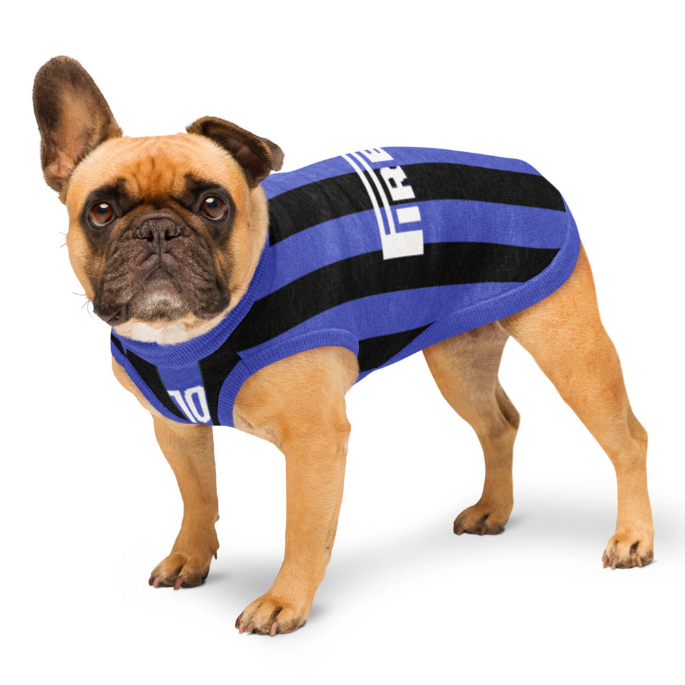 A fawn French Bulldog wearing a blue and black striped knit dog sweater with white accents, standing against a plain white background.