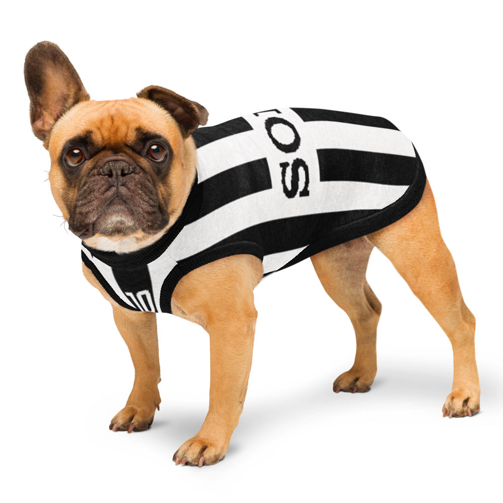 A fawn French Bulldog wearing a black and white horizontally striped dog sweater with black lettering, photographed against a solid white background.