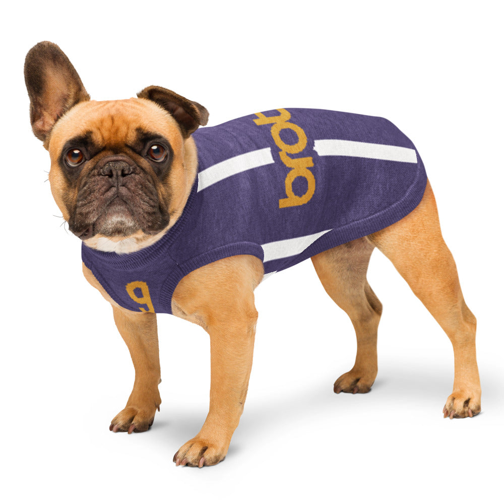 A fawn French Bulldog wearing a purple knit dog sweater with white stripes and yellow lettering, standing against a white background.