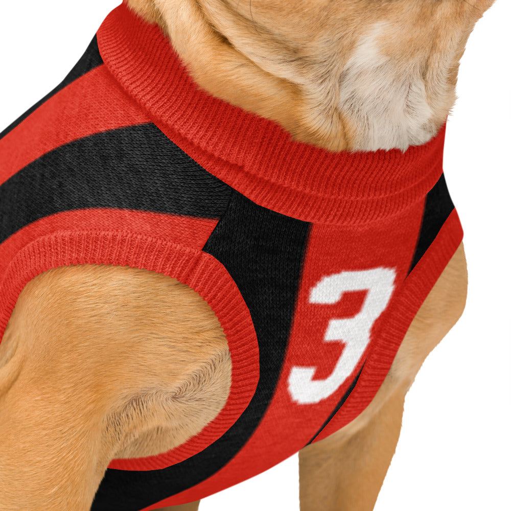 A close-up of a dog wearing a red and black knit sweater with a white number 3 on the side, shown against a plain white background.