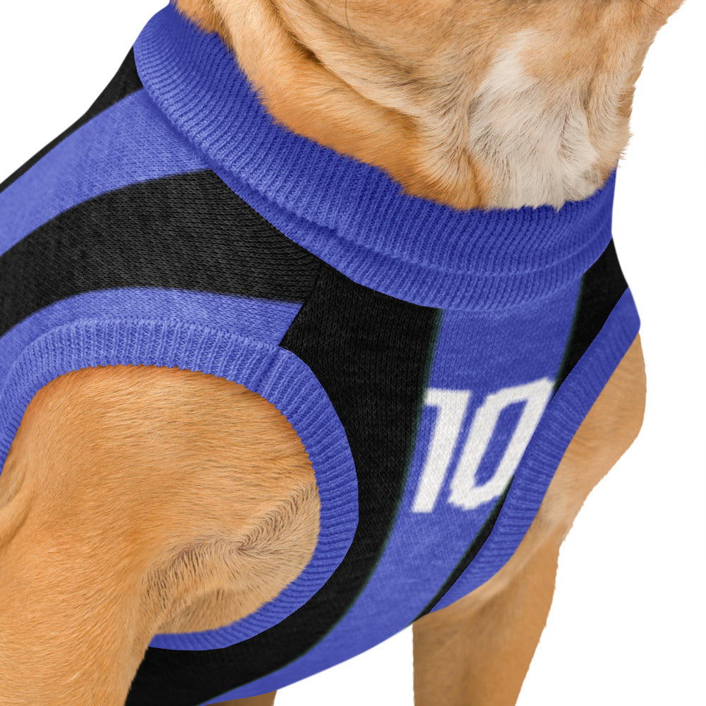 A close-up of a dog wearing a blue and black knit sports jersey-style pet sweater with a white number 10 on the side, against a plain white background.