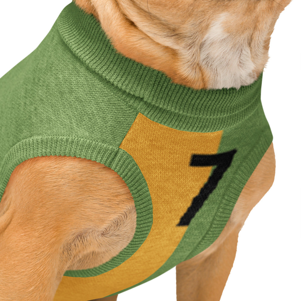 A close-up of a dog wearing a green and mustard yellow knit sweater with a black number 7 on the side, set against a plain white background.