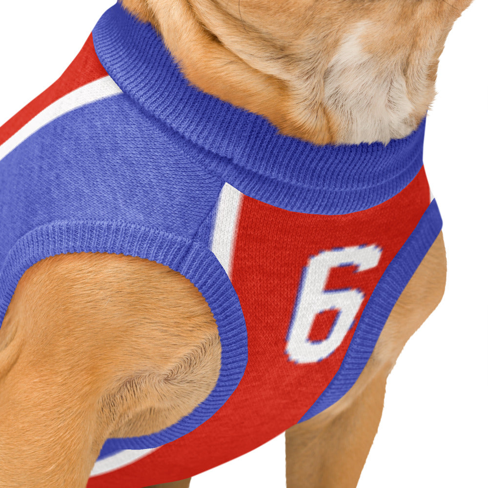 A close-up of a dog wearing a knit sports jersey-style sweater in red, blue, and white, with the number 6 visible on the back.