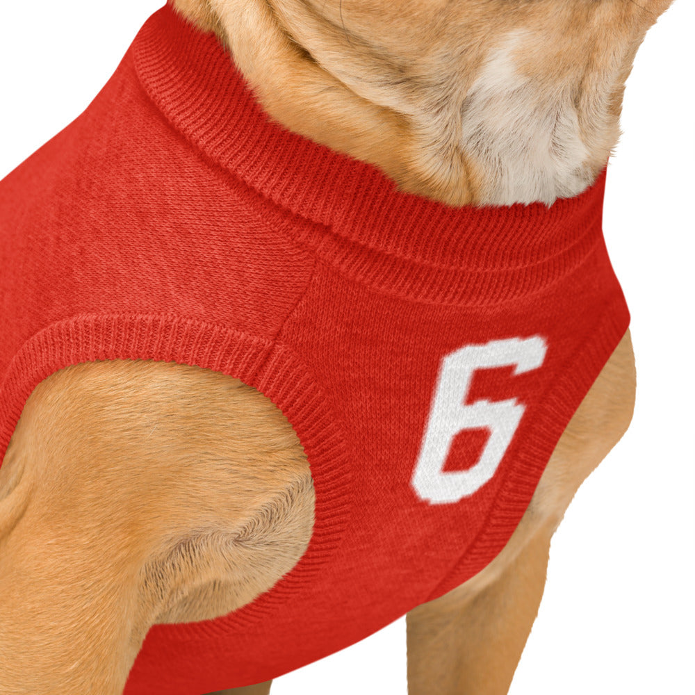 A close-up of a dog wearing a red knit sweater vest with a white number 6 on the side, set against a plain white background.