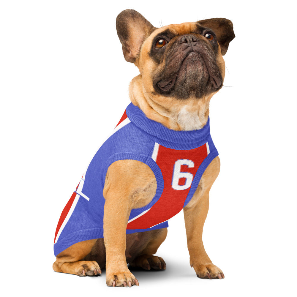 A fawn French bulldog wearing a blue, red, and white athletic dog sweater with the number 6 on the front, sitting against a solid white background.