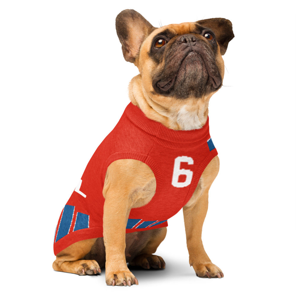 A fawn French Bulldog wearing a red knit dog sweater with blue and white accents and the number 6 on the front, photographed against a solid white background.