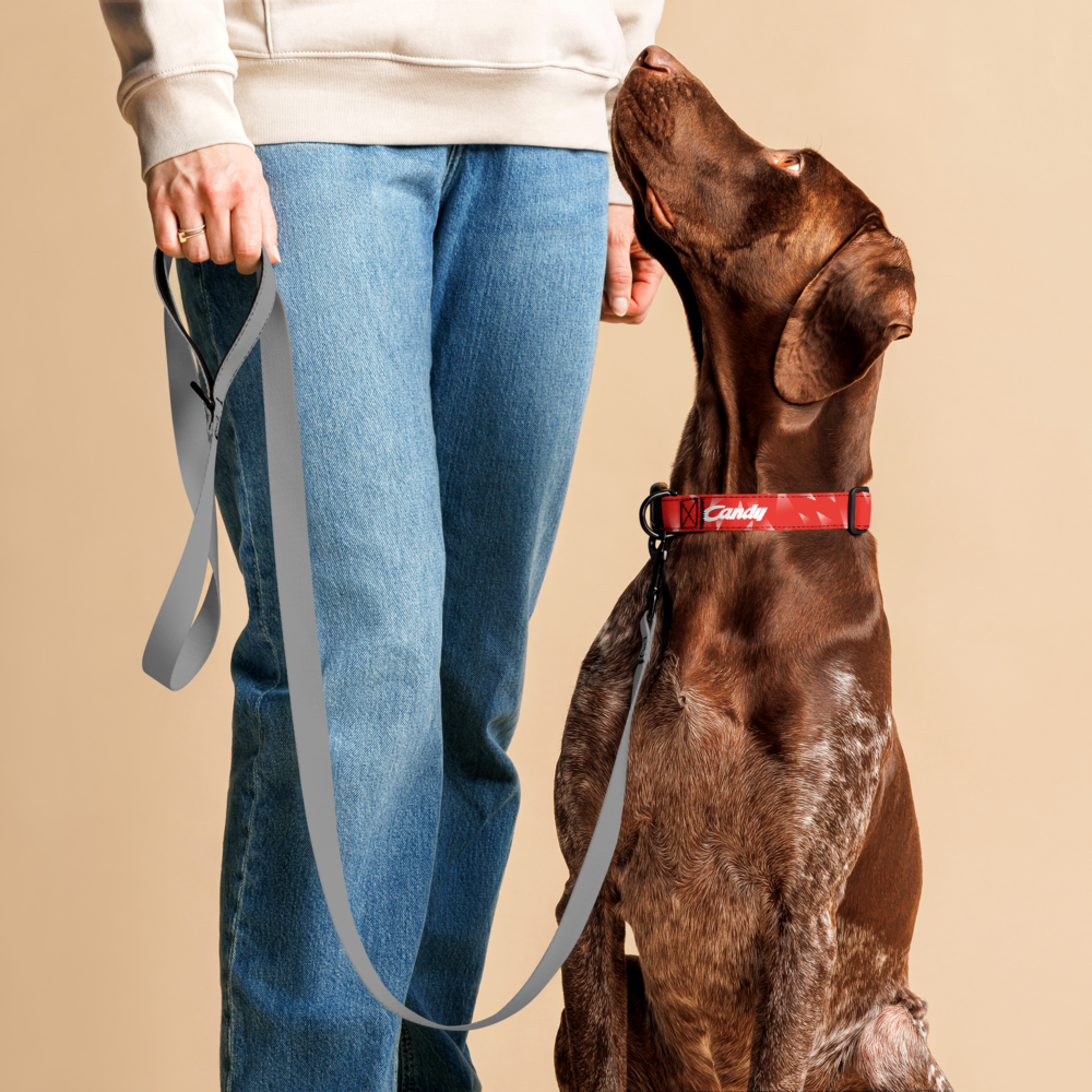 A person wearing a beige hoodie and blue jeans holds a gray leash attached to a brown dog wearing a red collar with the brand name 'Candy' printed on it, against a solid beige background.