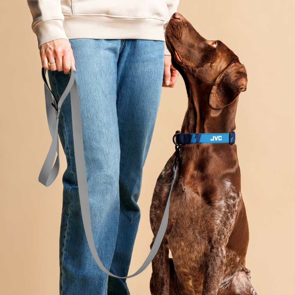 A brown dog wearing a blue JVC collar sits beside a person in a beige hoodie and blue jeans, holding a gray leash against a plain beige studio background.