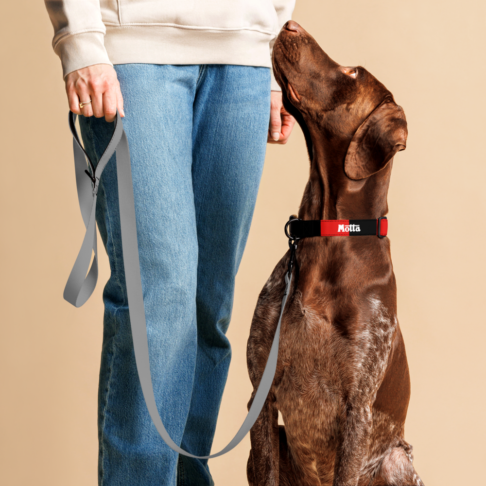 A brown dog wearing a black and red K&H pet collar looks up at a person standing beside it, holding a gray leash. The person is wearing blue jeans and a cream sweatshirt.