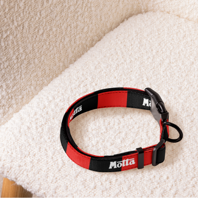A red and black striped pet collar with white 'Motta' branding, resting on a textured cream boucle chair.