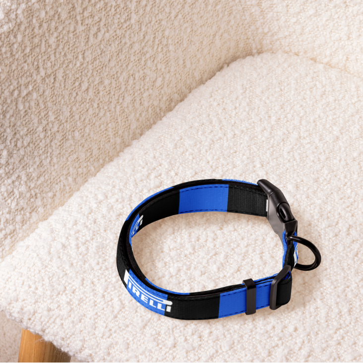 A blue and black pet collar with white text reading 'UNLEASH' rests on a cream-colored textured armchair.