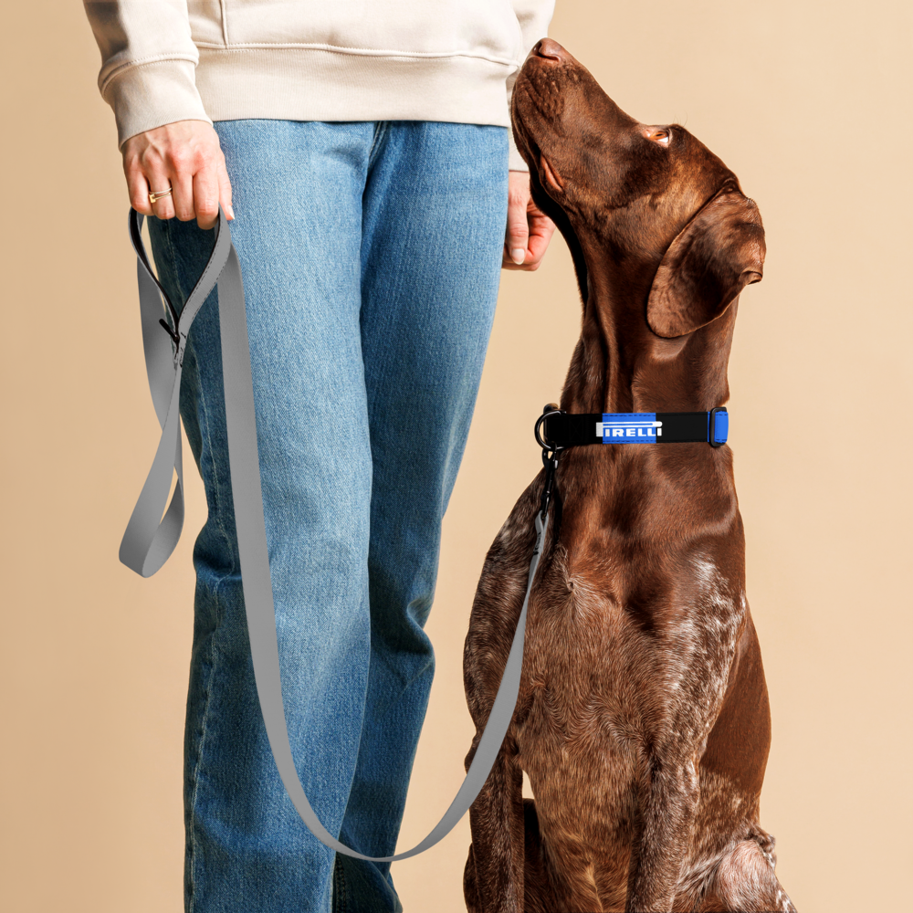 A brown dog wearing a black PIRILLI collar with a blue logo, looking up at a person holding a gray leash. The person is wearing blue jeans and a beige sweatshirt, set against a solid beige background.