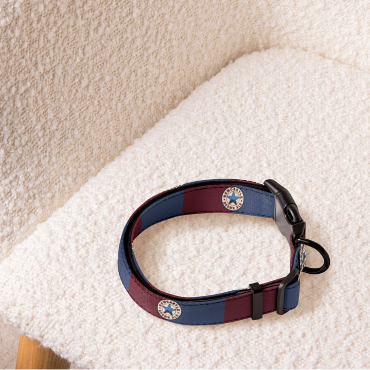 Dog collar with a pattern on a textured white surface