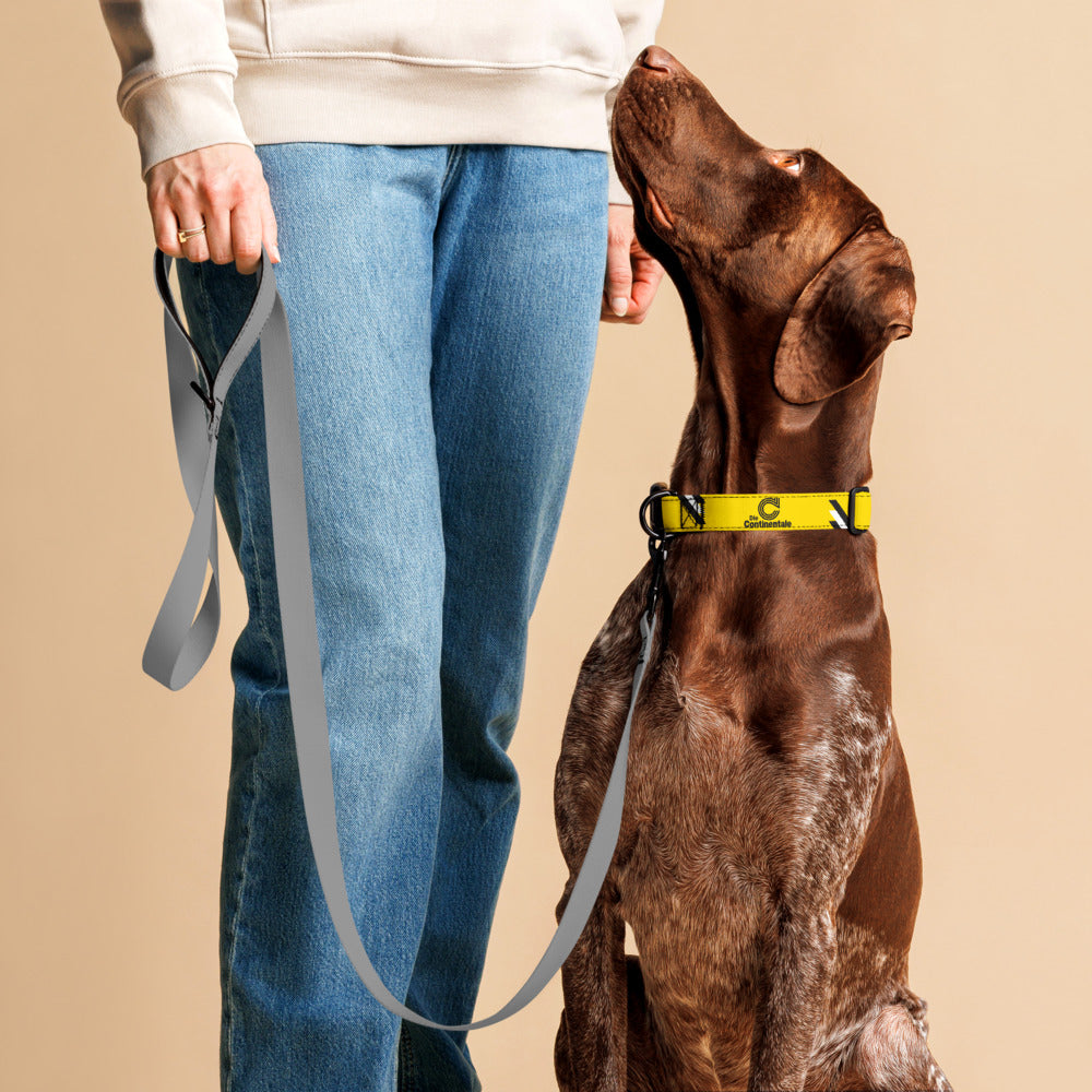 A brown dog wearing a bright yellow collar with black logo details sits and looks up at a person holding a gray leash. The person is wearing blue jeans and a cream sweatshirt, set against a solid beige studio background.