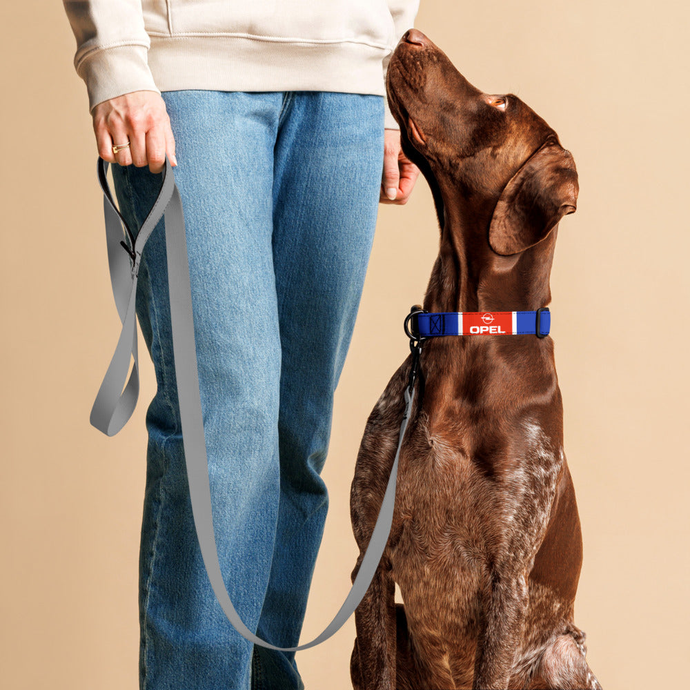 A brown dog wearing a blue, red, and white Opel collar looks up at a person holding a gray leash. The person is wearing a cream sweatshirt and blue jeans, set against a solid beige background.