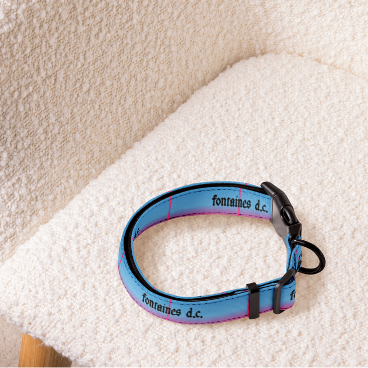A blue and purple gradient dog collar with black hardware and the brand name 'fontaines d.c.