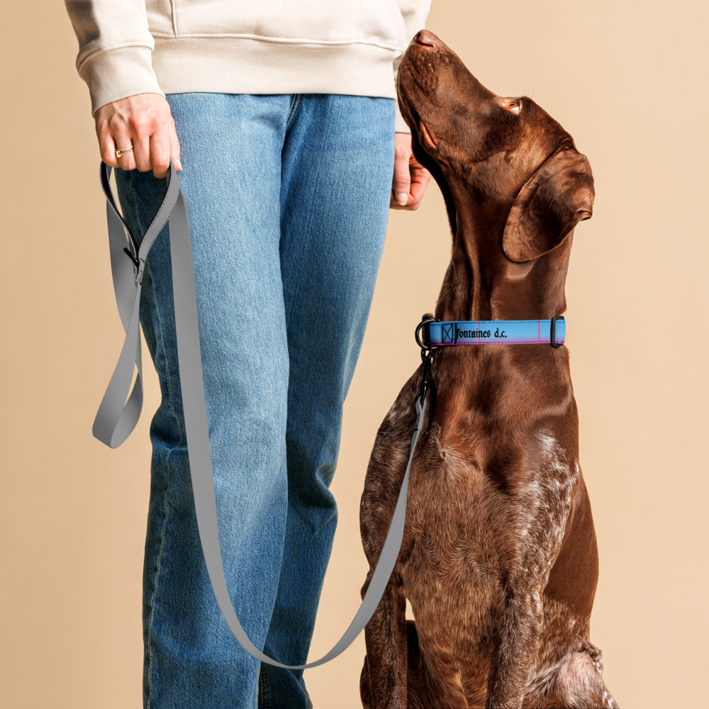 Romance Dog Collar