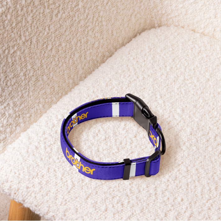 A blue dog collar with yellow and white text details, resting on a textured cream boucle armchair.