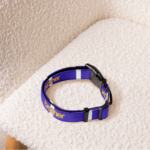 A blue dog collar with yellow and white text details, resting on a textured cream boucle armchair.